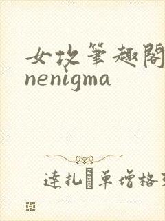 女攻笔趣阁1/nenigma