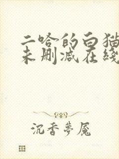 二哈的白猫师尊未删减在线阅读免费