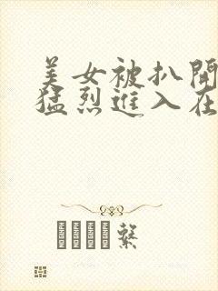 美女被扒开双腿猛烈进入在线观看