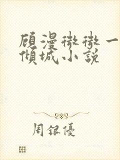 顾漫微微一笑很倾城小说封面