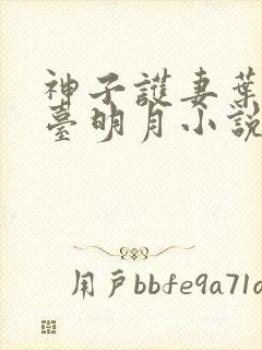 神子护妻叶玄澹台明月小说