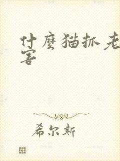 什么猫抓老鼠厉害