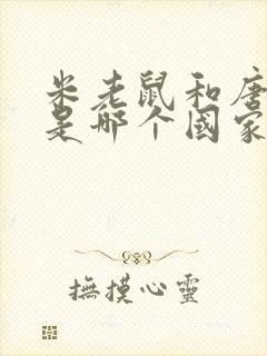 米老鼠和唐老鸭是哪个国家的动画片