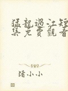 猛龙过江短剧全集免费观看高清