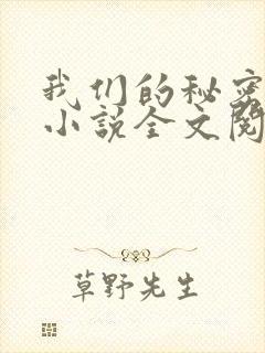 我们的秘密原著小说全文阅读