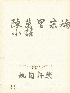 陈万里宋娇娇的小说封面