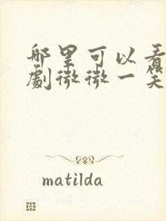 哪里可以看电视剧微微一笑很倾城