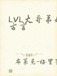 LVL大哥弟媳古言