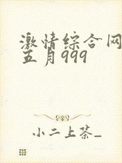 激情综合网激情五月999