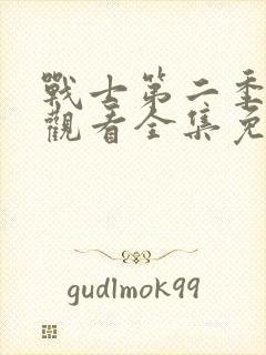 战士第二季在线观看全集免费播放