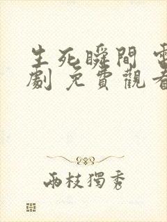 生死瞬间 电视剧 免费观看