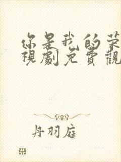 你是我的荣耀电视剧免费观看全集在线播放封面