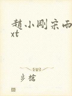 赵小刚宋雨晴txt