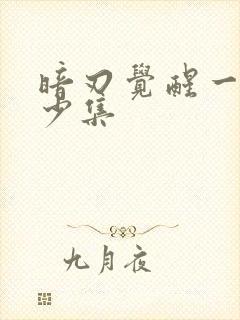 暗刃觉醒一共多少集