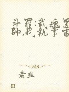 斗罗:武魂黑大帅,我执掌雷劫封面