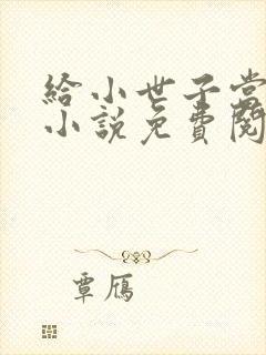 给小世子当后妈小说免费阅读全文