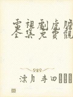 电视剧虎胆神鹰全集免费观看封面