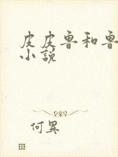 皮皮鲁和鲁西西小说