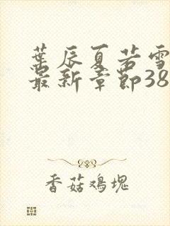 叶辰夏若雪孙怡最新章节3846封面