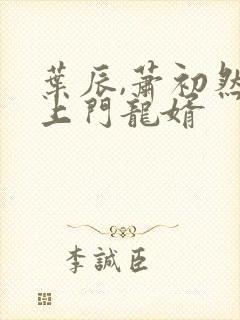 叶辰,萧初然 上门龙婿