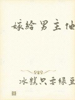 嫁给男主他爹