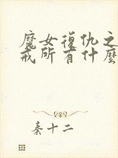 魔女复仇之夜惩戒所有什么用