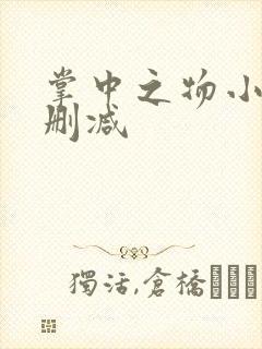 掌中之物小说无删减