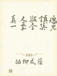 真人版镇魂街第一季全集免费封面