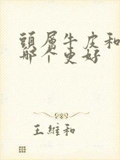 头层牛皮和真皮哪个更好