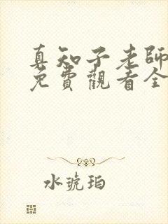 真知子老师动画免费观看全集封面