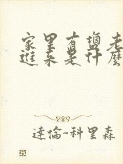 家里有盐老鼠飞进来是什么原因