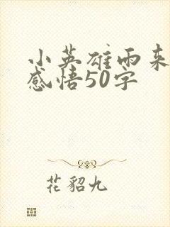 小英雄雨来读书感悟50字封面