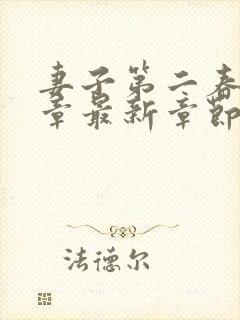 妻子第二春16章最新章节免费阅读