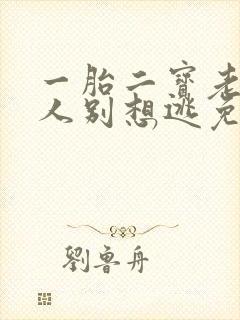 一胎二宝老婆大人别想逃免费阅读