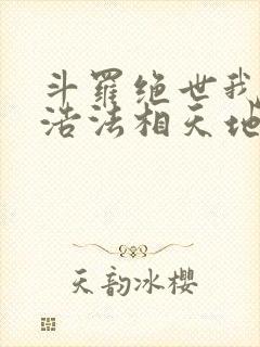 斗罗绝世我霍雨浩法相天地笔趣阁封面