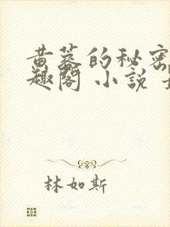 黄蓉的秘密 笔趣阁 小说 最新章节在线阅读封面