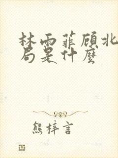 林雨菲顾北潇结局是什么封面