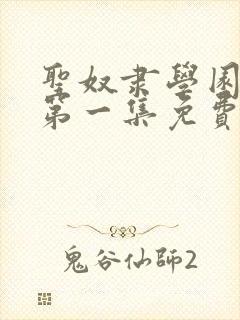 圣奴隶学园动漫第一集免费观看完整版