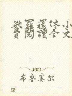 欲罢还休小说免费阅读全文