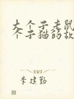 大个子老鼠和小个子猫的故事梗概封面