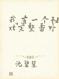 我有一个秘密txt完整番外