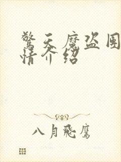 惊天魔盗团1剧情介绍