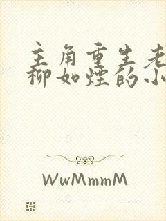 主角重生老婆叫柳如烟的小说封面