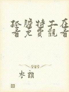 孤胆特工在线观看免费观看完整版