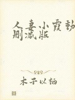 人妻小霞动漫无删减版