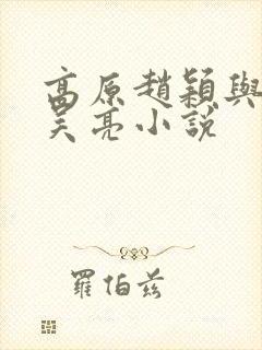 高原赵颖与陆华吴亮小说