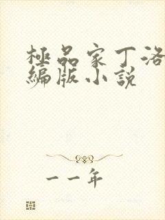 极品家丁洛凝改编版小说