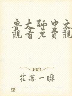 鲁大师中文在线观看免费观看电视封面