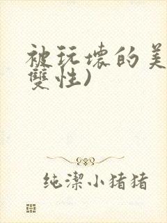 被玩坏的美人(双性)