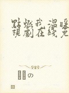 点燃我温暖你电视剧在线免费观看高清